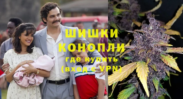 PSILOCYBIN Баксан