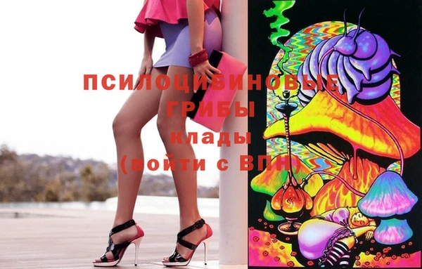 PSILOCYBIN Баксан