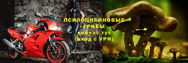 PSILOCYBIN Баксан