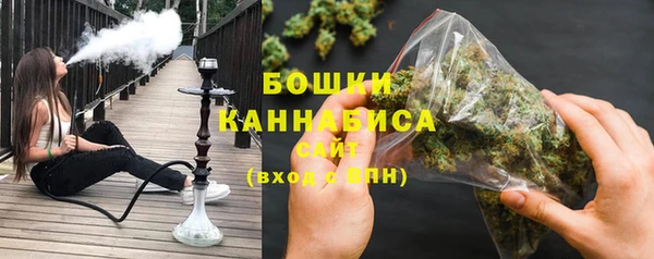 PSILOCYBIN Баксан