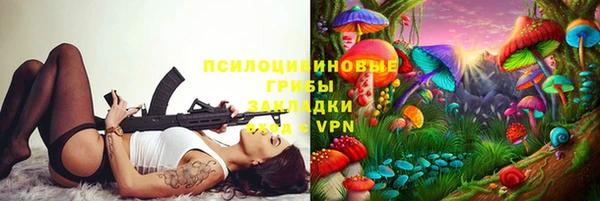 PSILOCYBIN Баксан