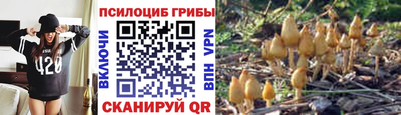 Псилоцибиновые грибы Magic Shrooms закладки Богородицк